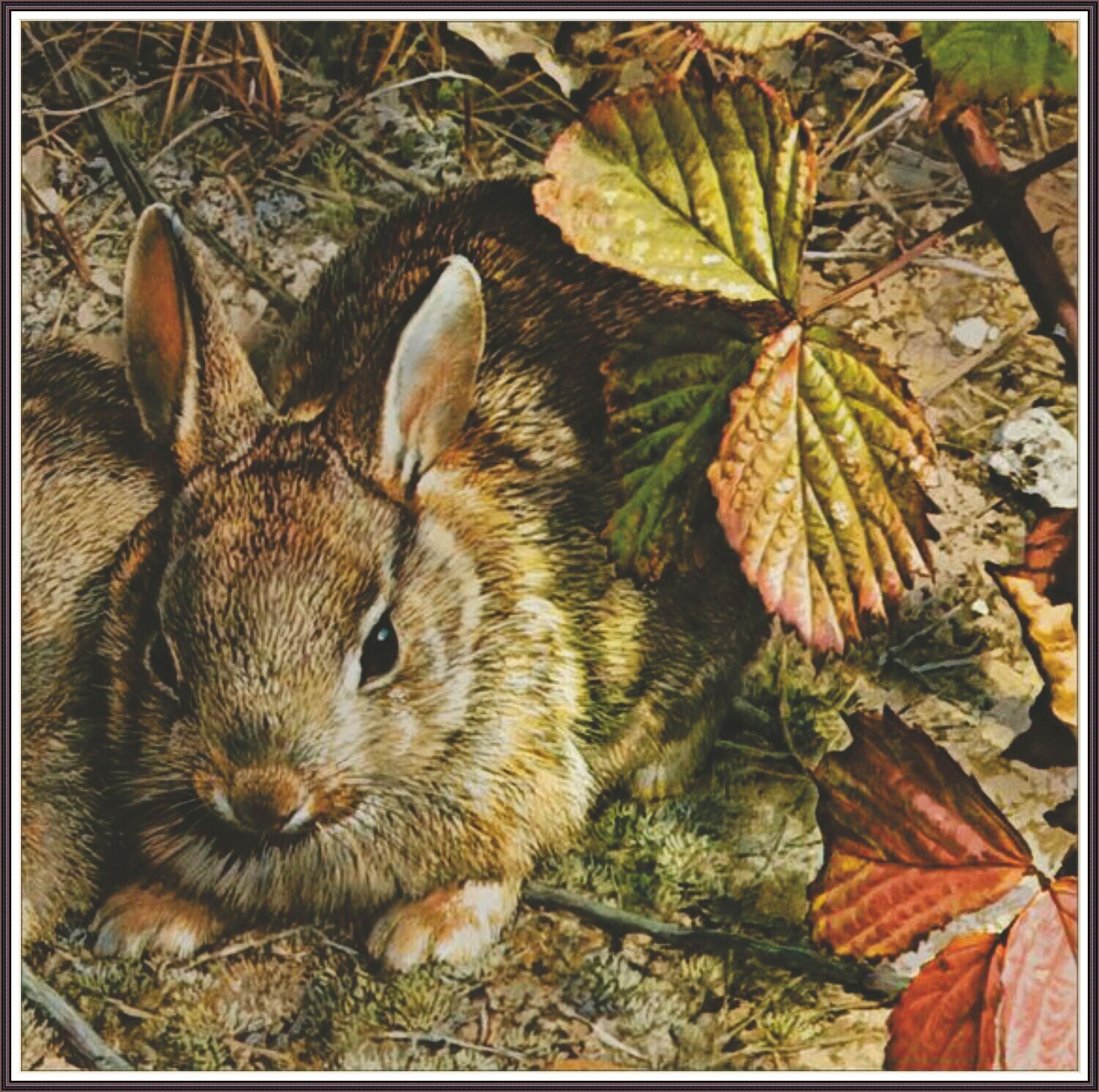 A Hare in the Leaves