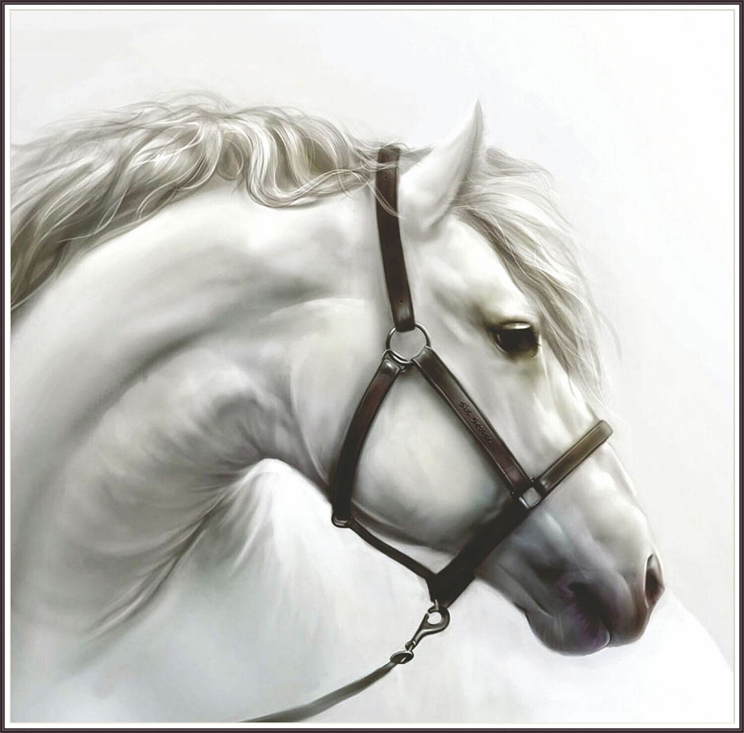 White Elegance