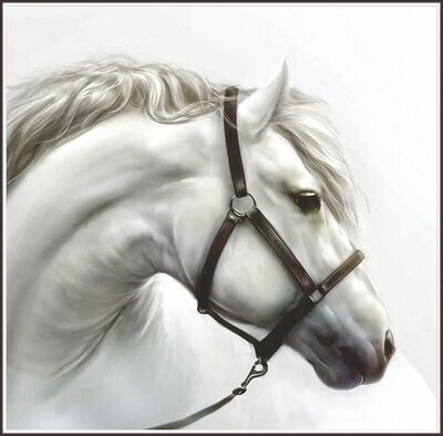 White Elegance