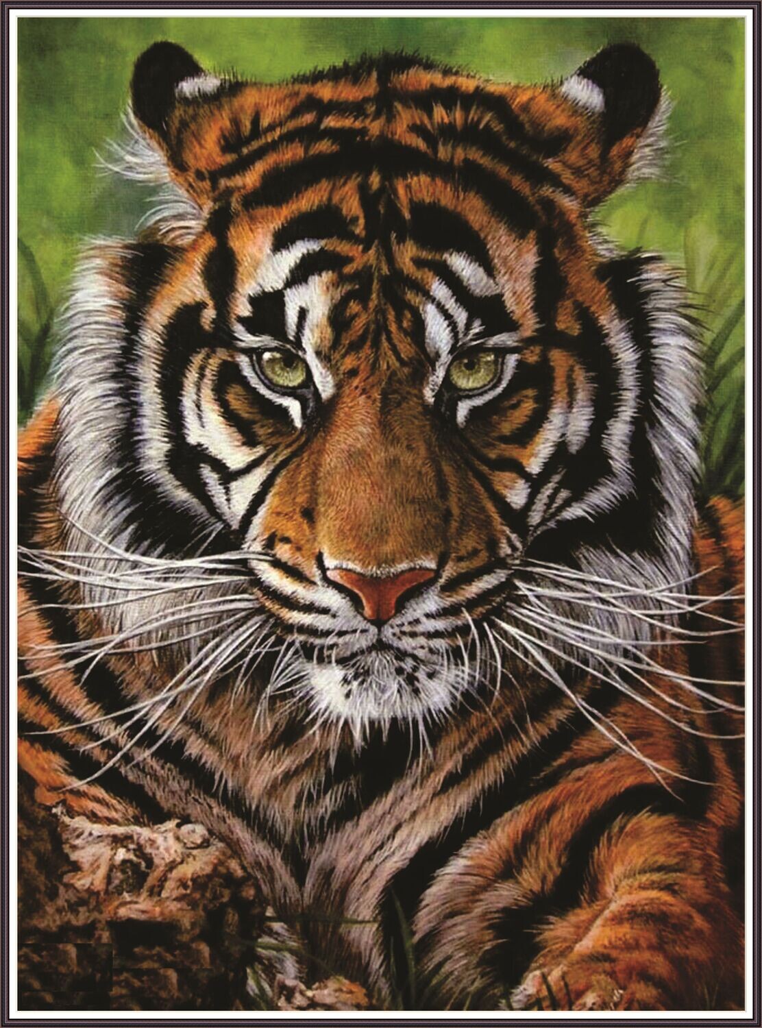 Sumatran tiger