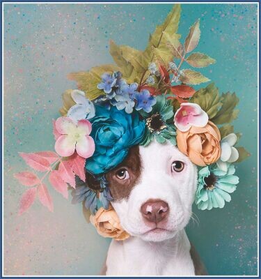 Flower Crown