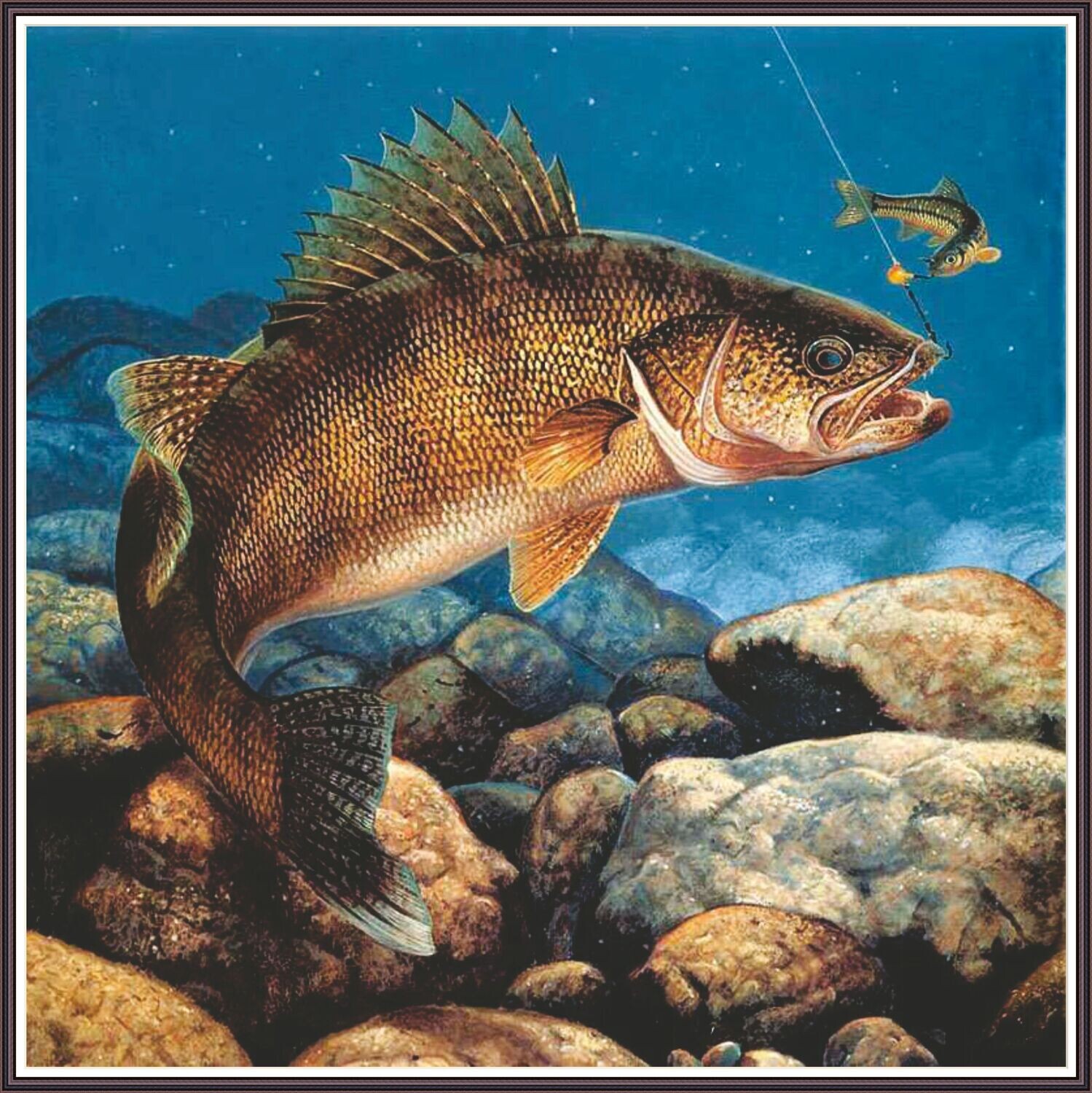 Baited Fish