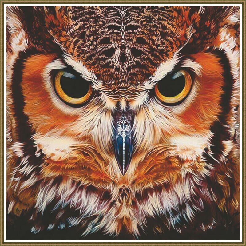 Furious Owl