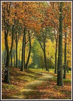 Wooded Path in Autumn