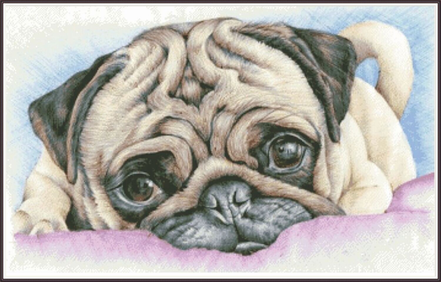 PUG Puppy