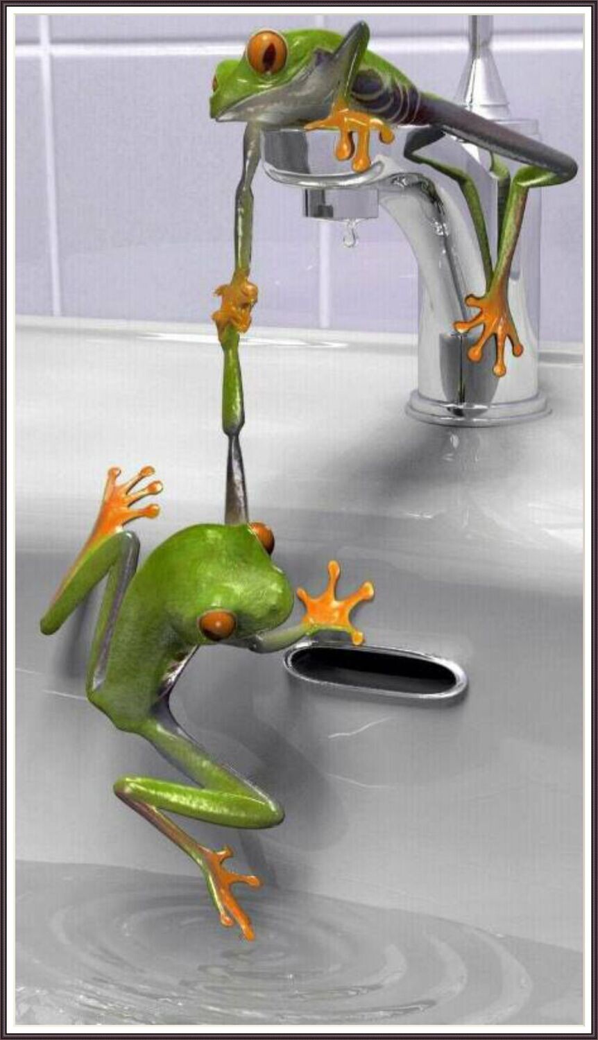 Frogs in a tub