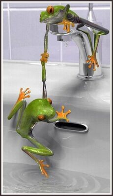 Frogs in a tub