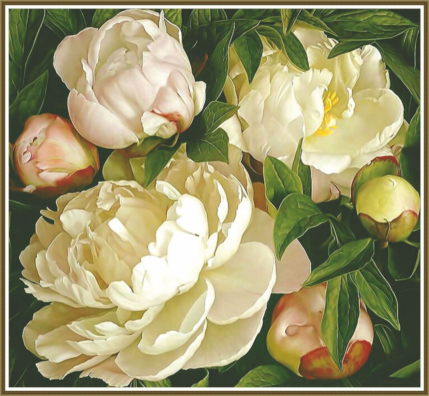 Garden peonies