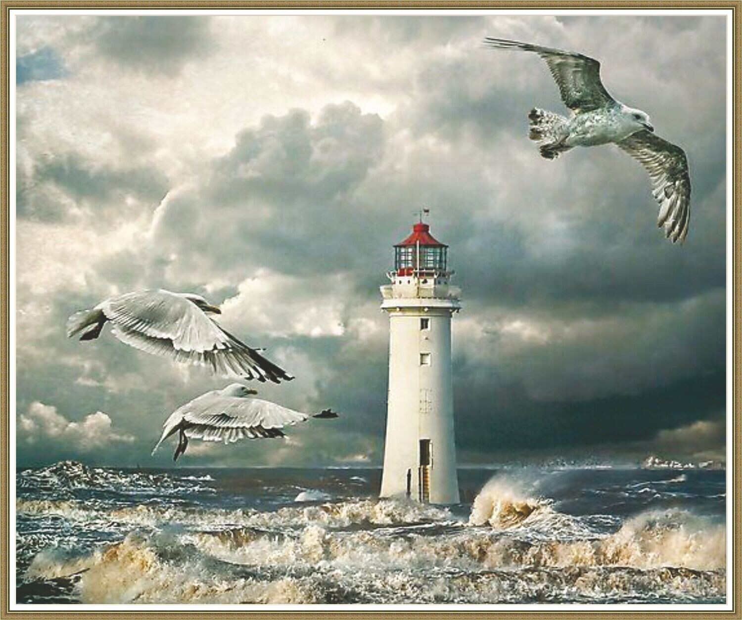Gulls at Perch Rock
