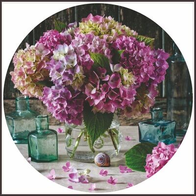 Hydrangea Still life (oval)