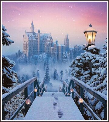 Winter Castle