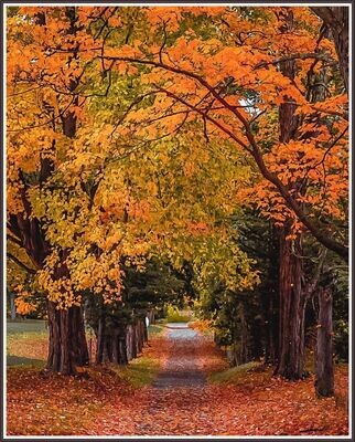 Breath of Autumn