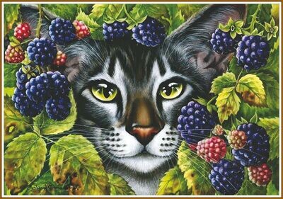 Blackberries