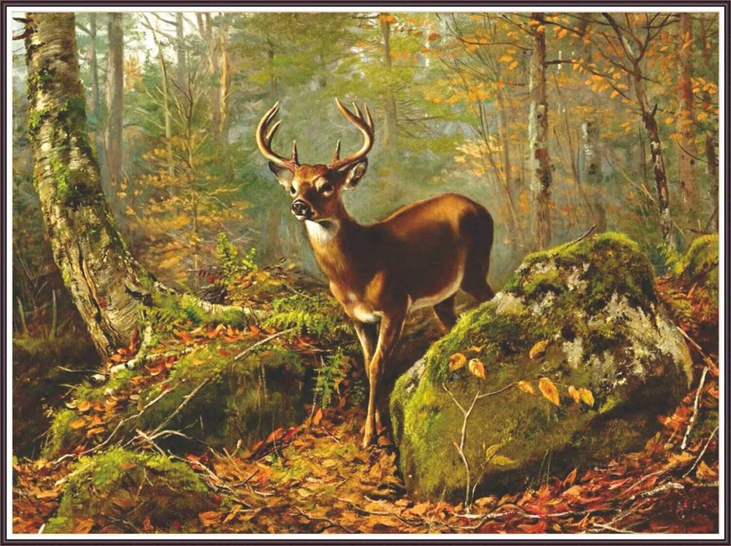 Fawn in the Forest