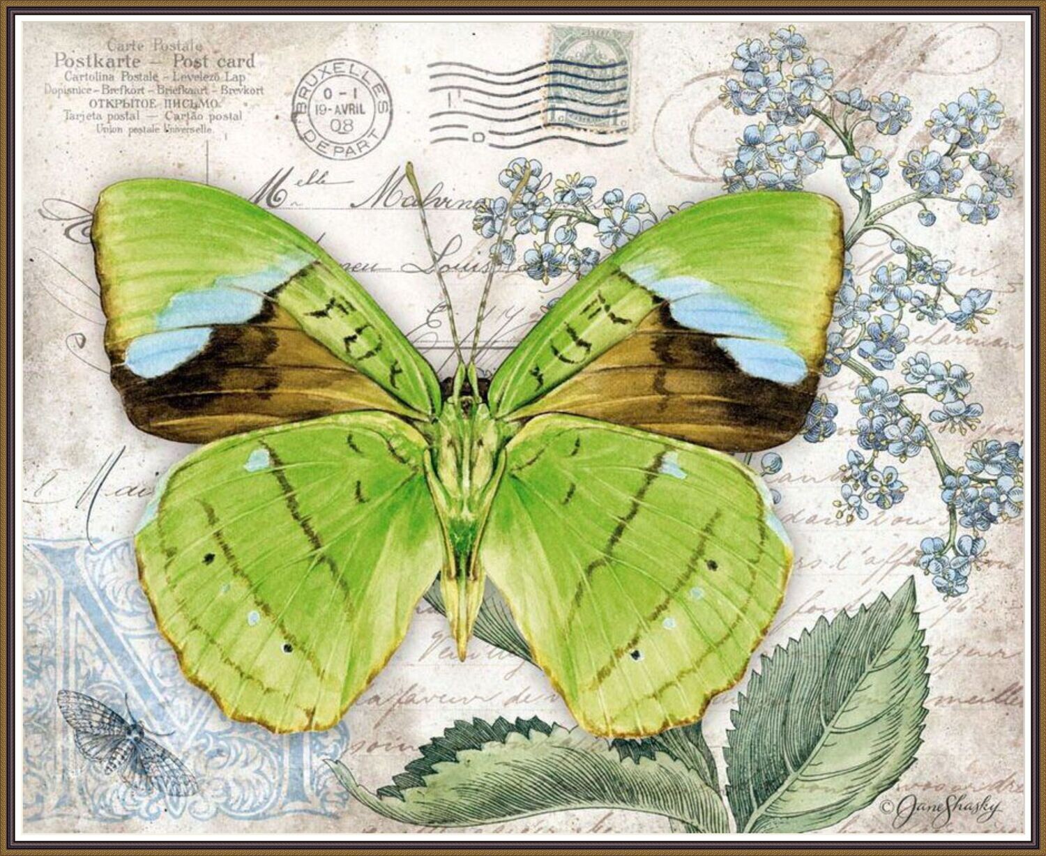 Big Green Wings Butterfly