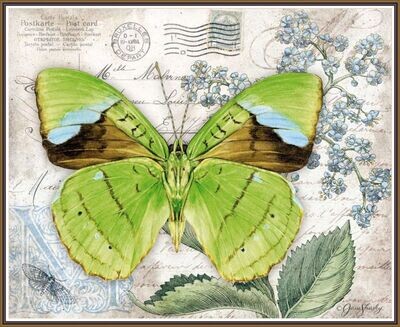 Big Green Wings Butterfly