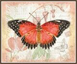 Big RED Wings Butterfly