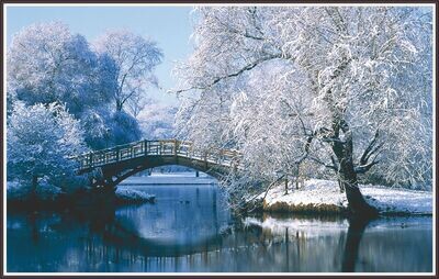 Beautiful Snow