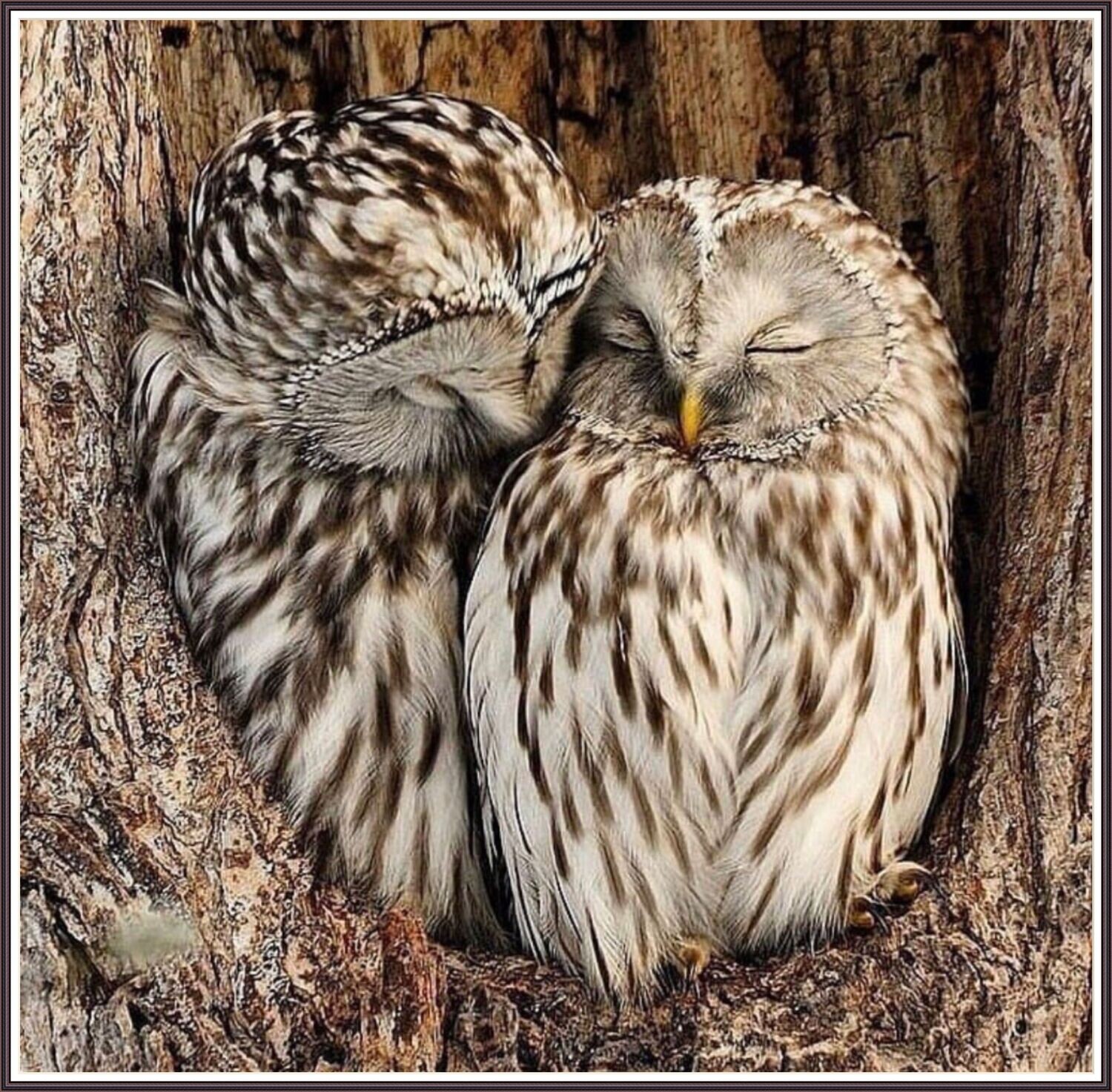 Love Story