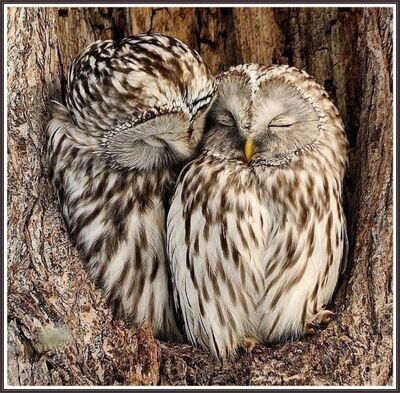 Love Story