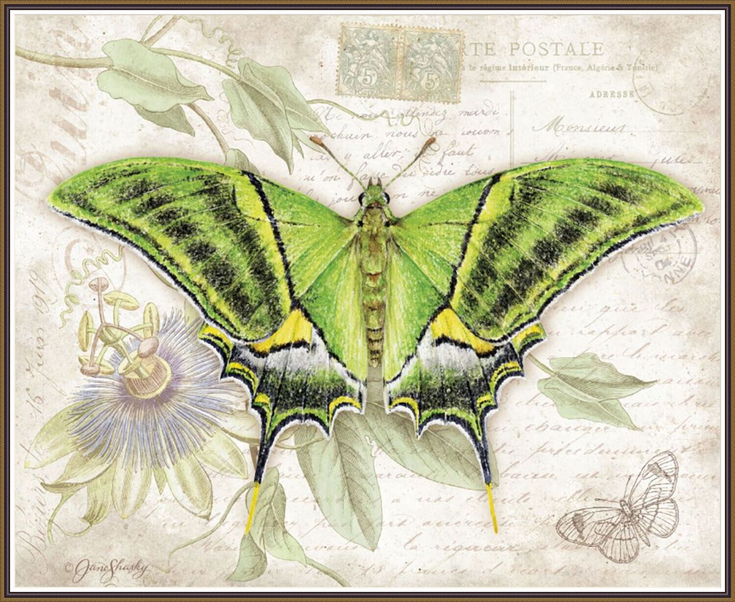 Big Green Wings Butterfly