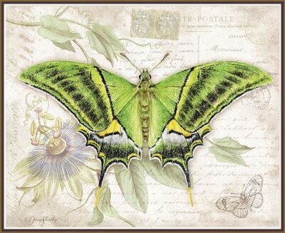Big Green Wings Butterfly