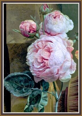 Pink Rose