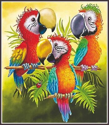 Parrots