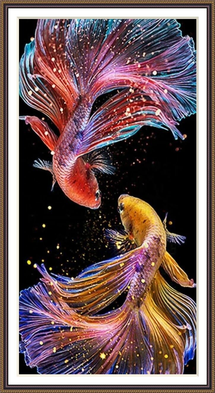 Coloful Fishes