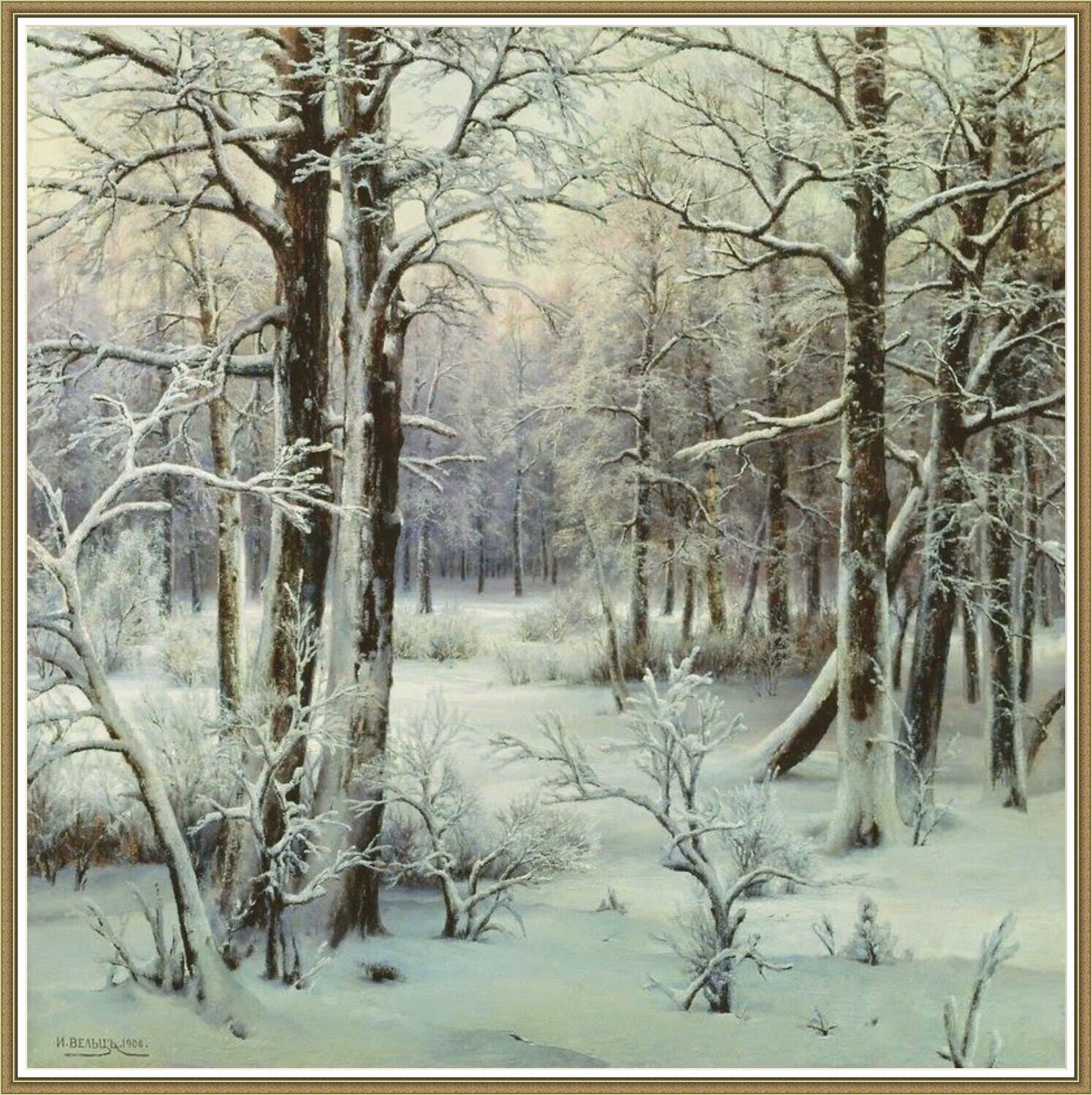 Frozen Morning