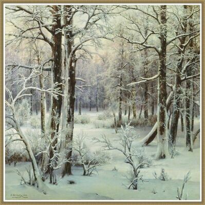 Frozen Morning