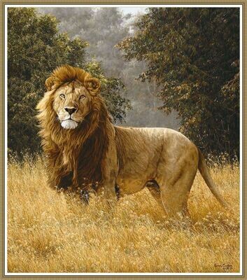 Lion&#39;s spirit