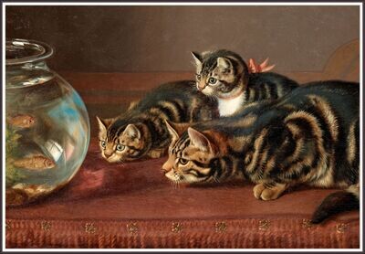 Cats By A Fishbowl