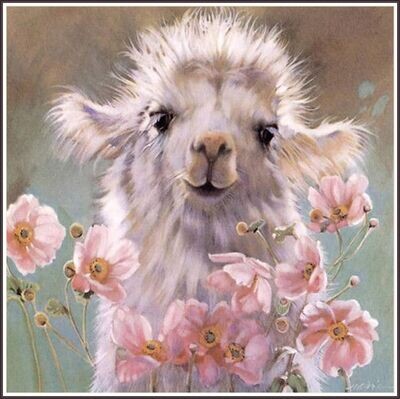 Baby llama