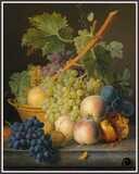 Still life with Grape