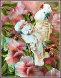 Parrots &amp; Orchids