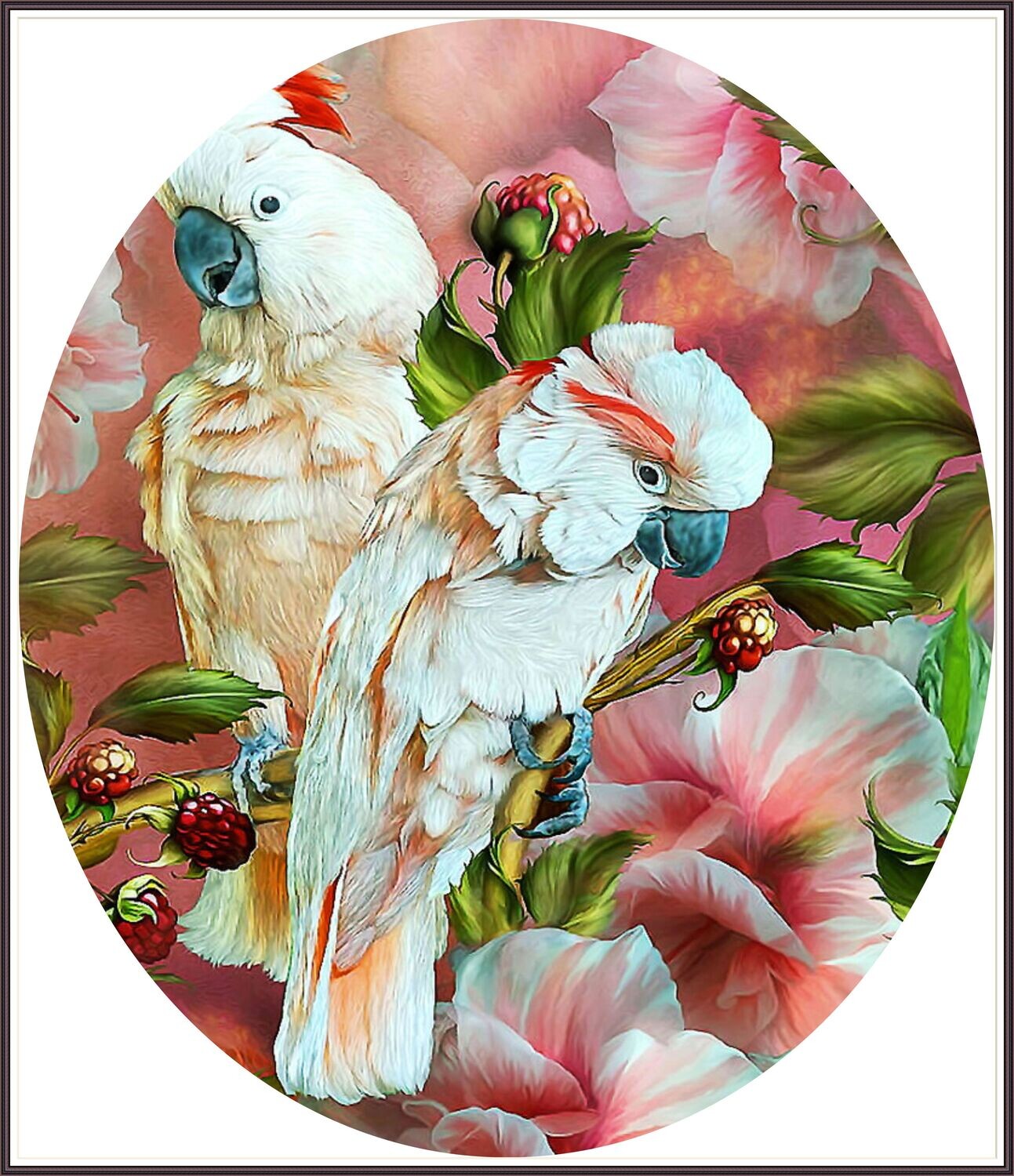 Parrots &amp; Orchids