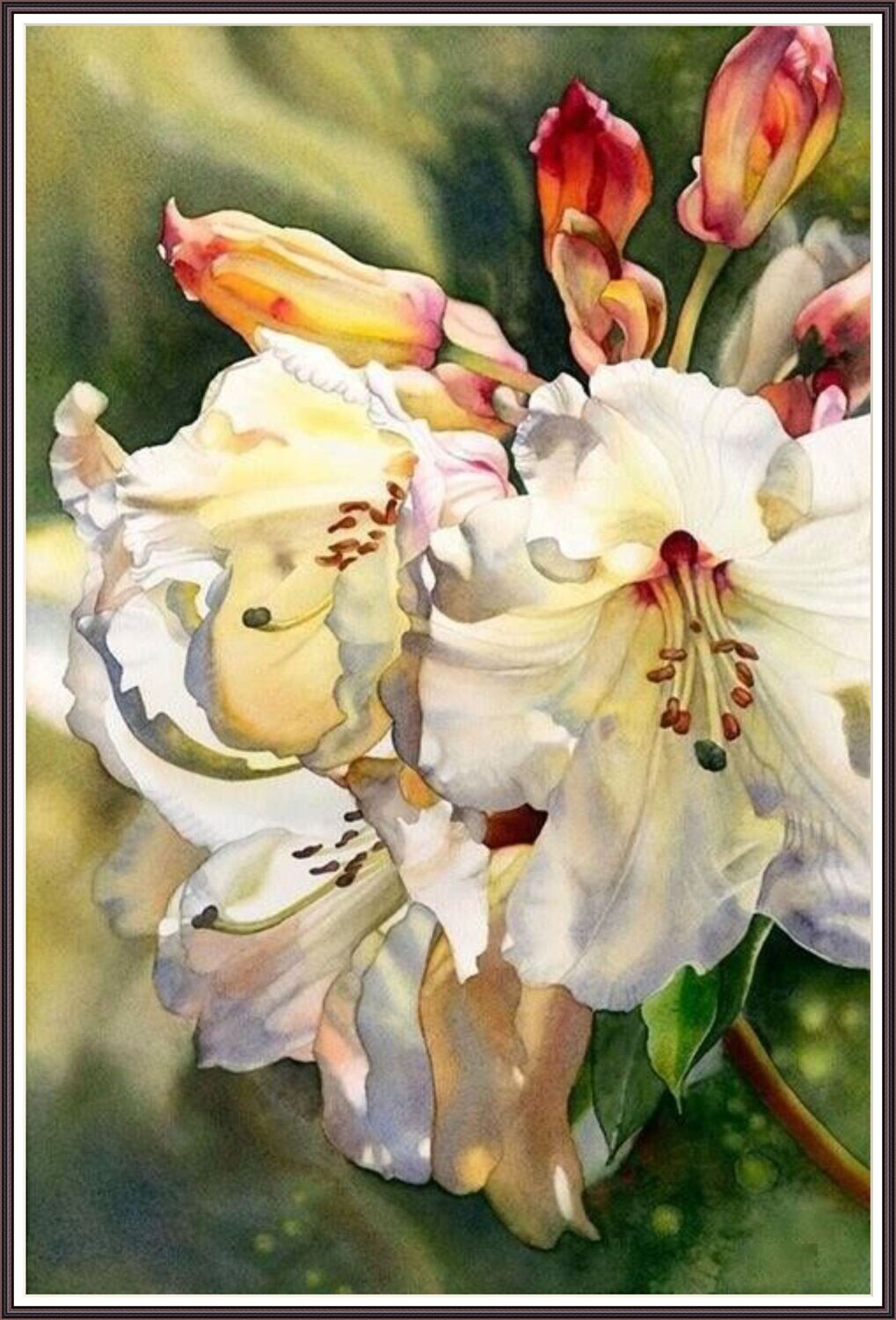 Lilies