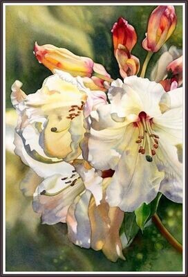Lilies