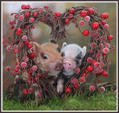 Valentine piggies