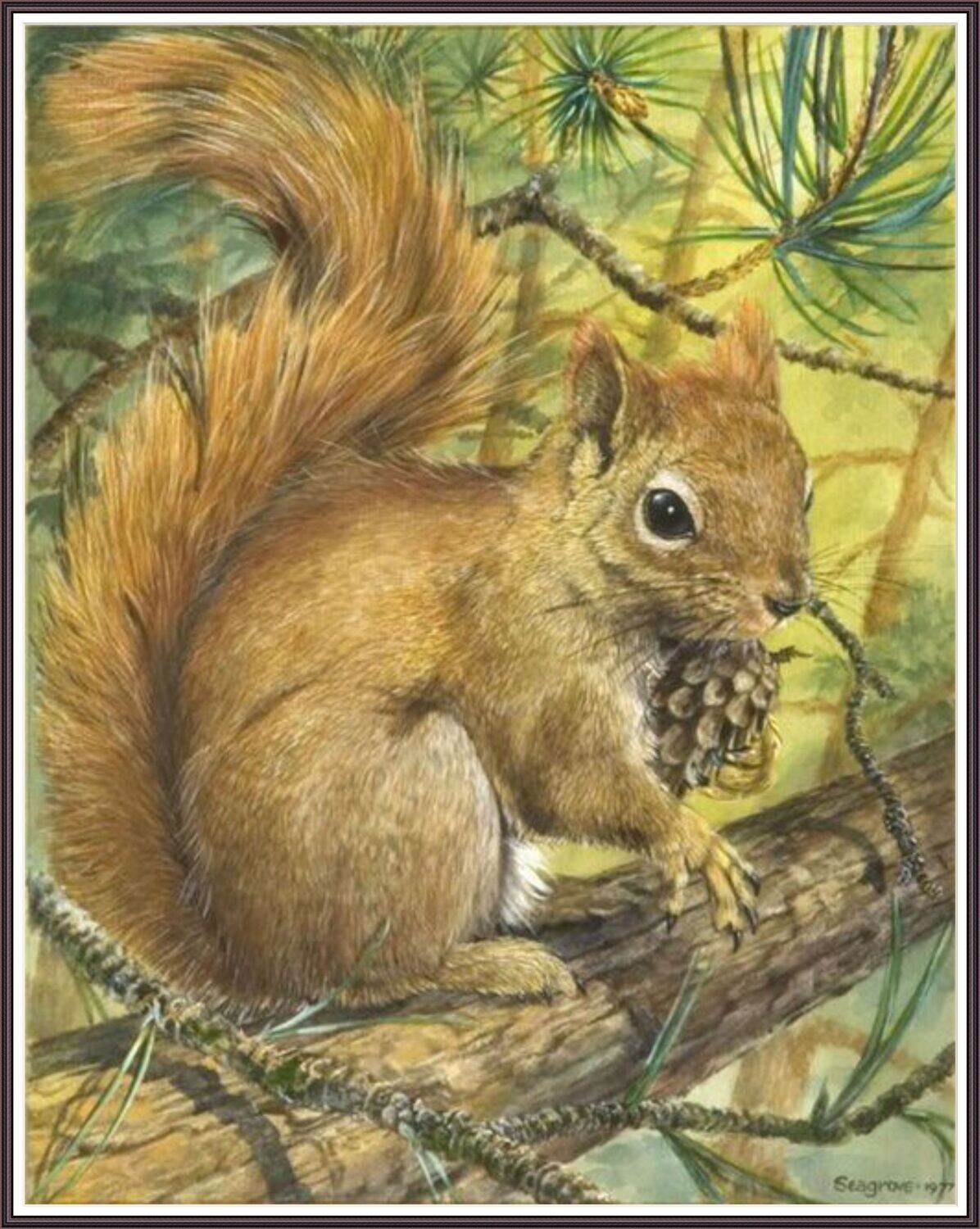 Playful Squirrel