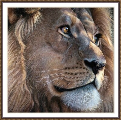 African lion