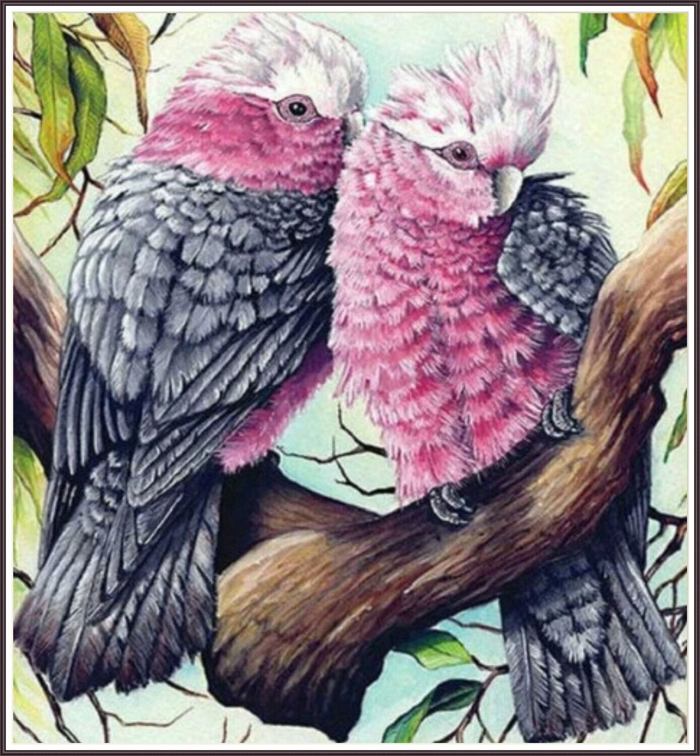 Cockatiel Pair