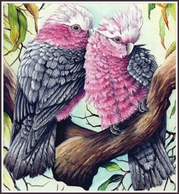 Cockatiel Pair