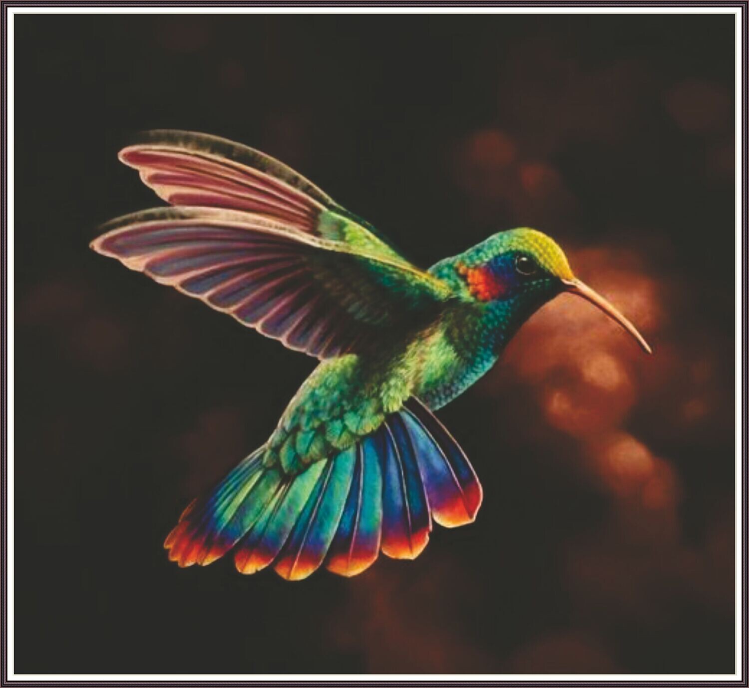 Rainbow Hummingbird