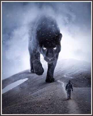 Big imagination