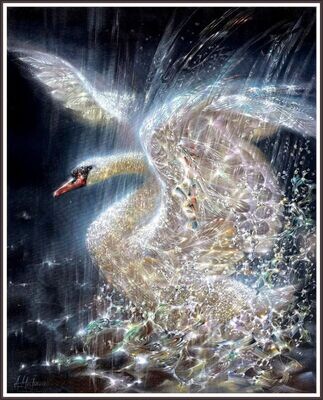 Swan Splash