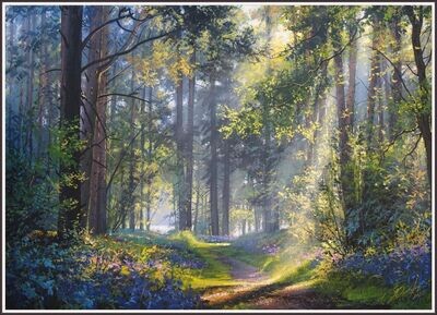 Bluebell Woods