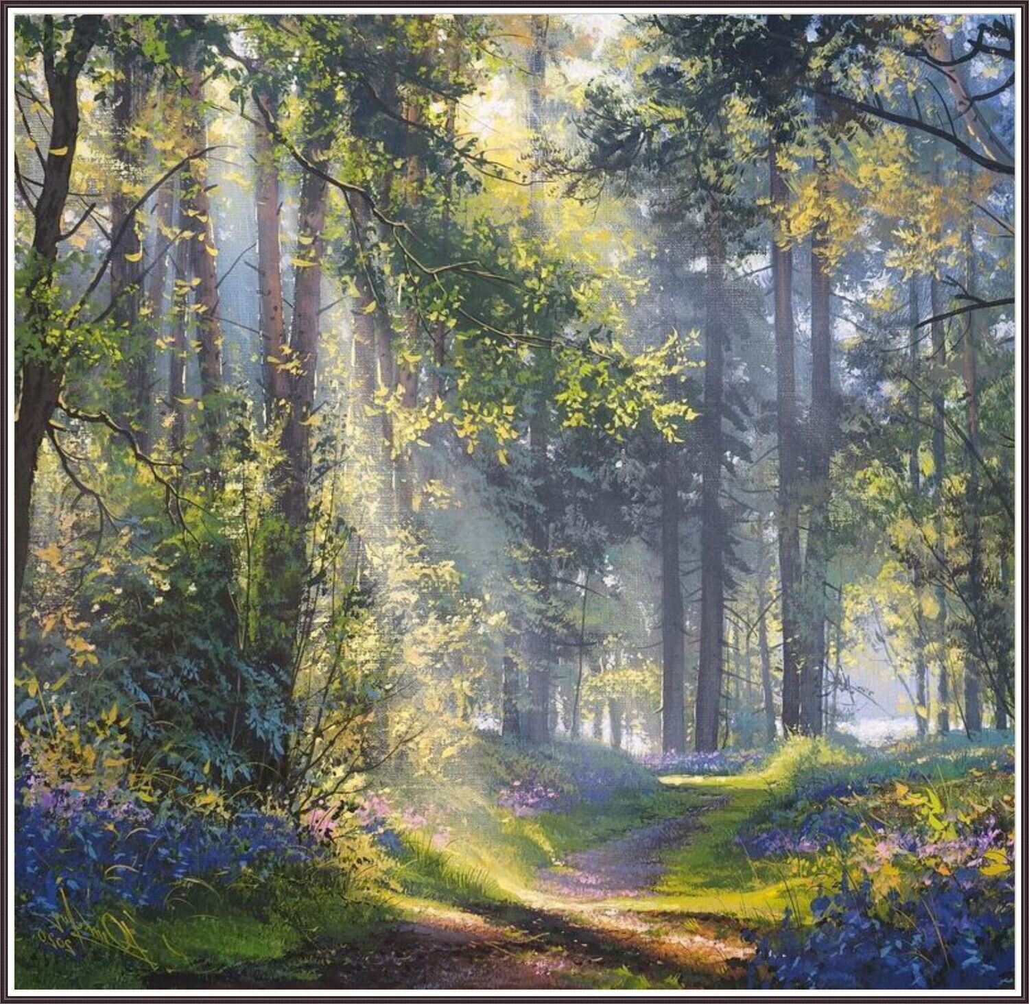 Bluebell Woods