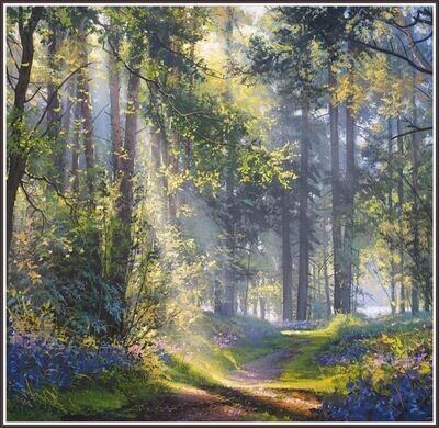 Bluebell Woods